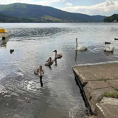 Owr Przystan Station touristique Międzybrodzie Bialskie